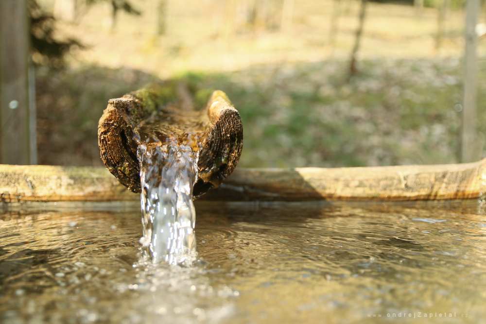 Fotografie Fir Trough, na fotce: water, rural, autor: Ondřej Zapletal