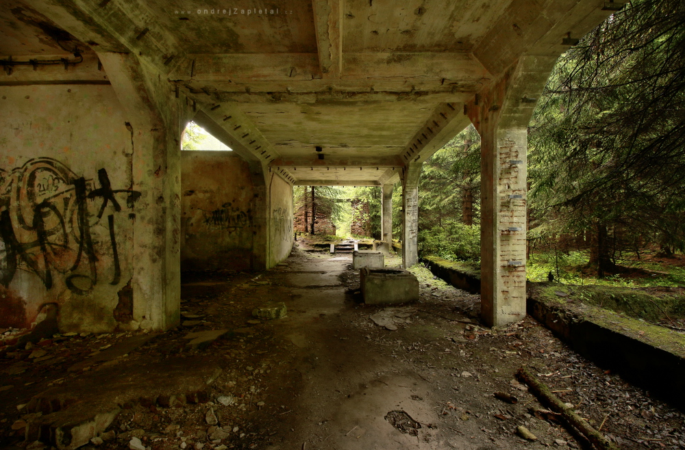 Fotografie Forest on the Porch, na fotce: ruins, forest, concrete, industrial, autor: Ondřej Zapletal