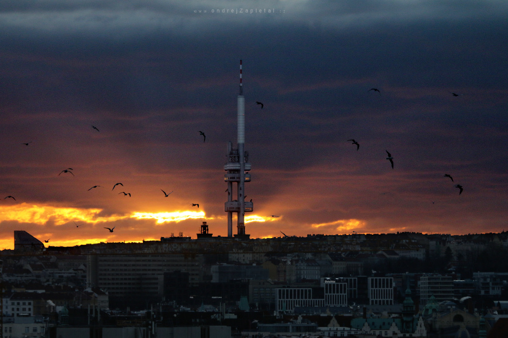Fotografie Tower, na fotce: , autor: Ondřej Zapletal