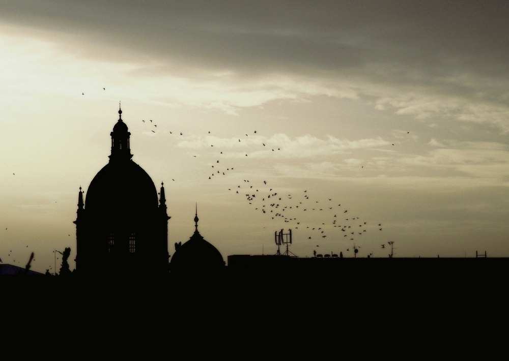 National Museum, Prague (On the photo:  ptáci, večer)