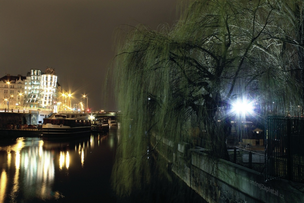 Dancing Branches (On the photo:  (Night photography) řeka, stromy, noc)