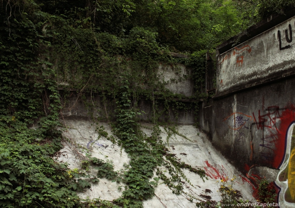 The Attack of the Green (On the photo:  stromy, beton, graffiti, nápisy)
