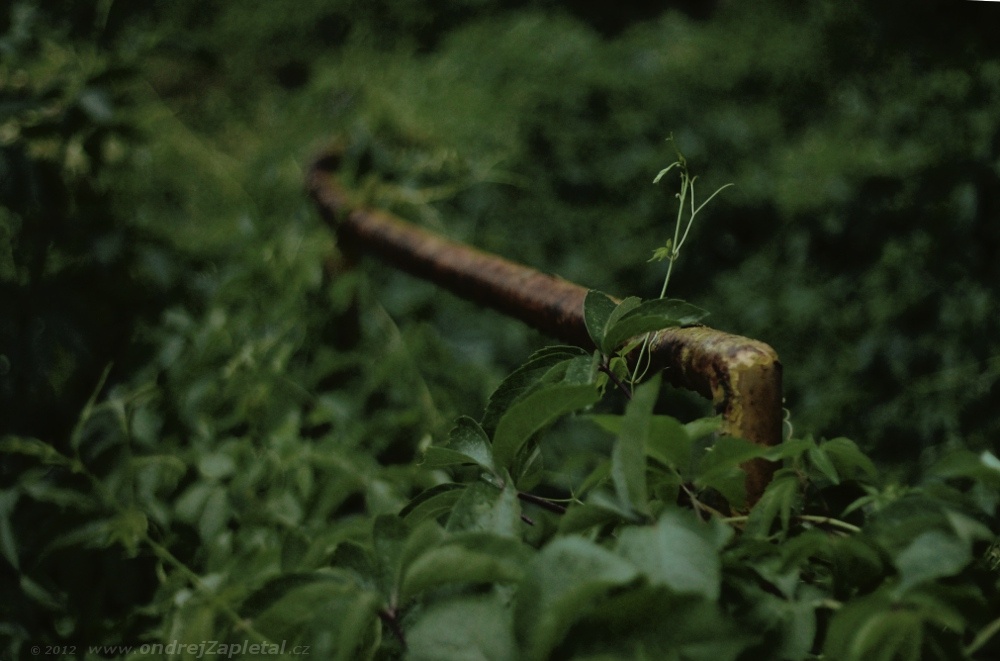 Guardrail (On the photo:  (Nature photography) příroda, cesta)