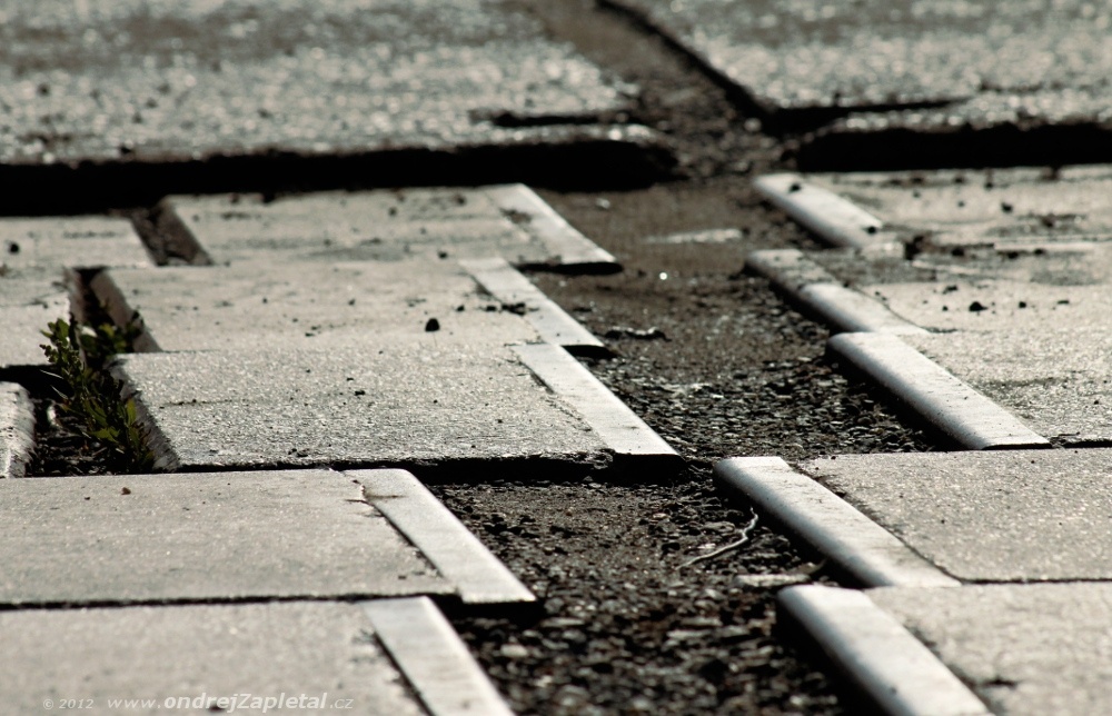 Retired Tracks (On the photo:  (Urbex photography) cesta, tramvaj, ruiny, beton)