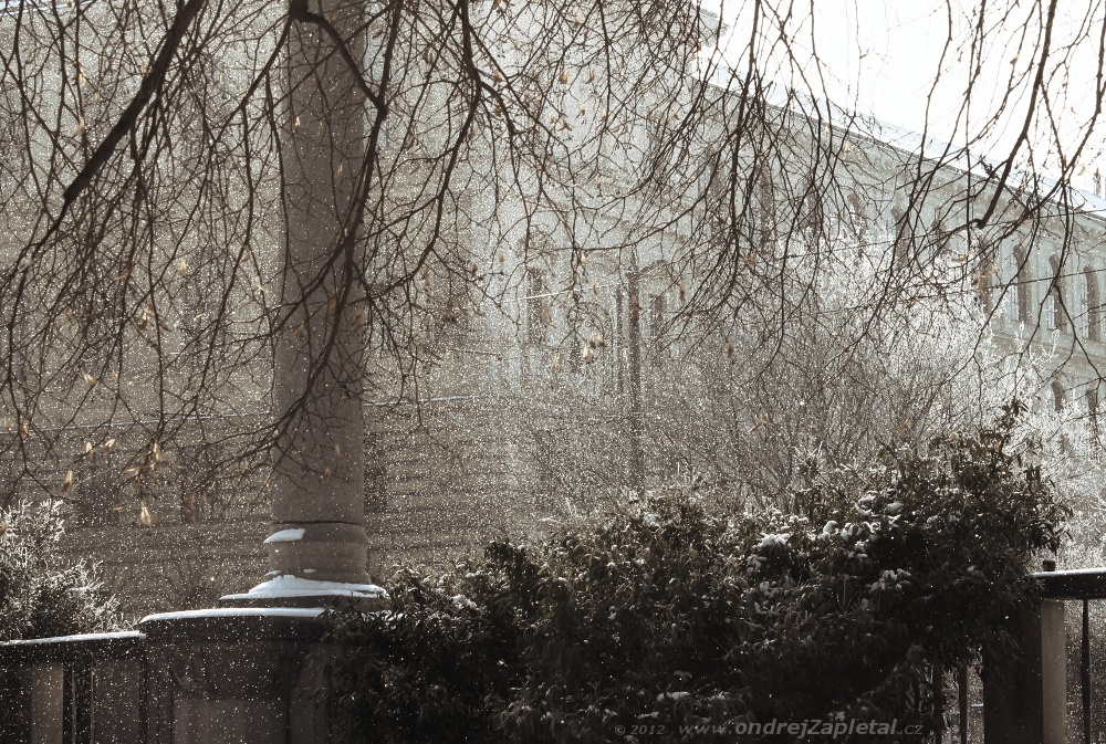 Snowflakes in the Sun (On the photo:  (Urban photography) zima, praha)