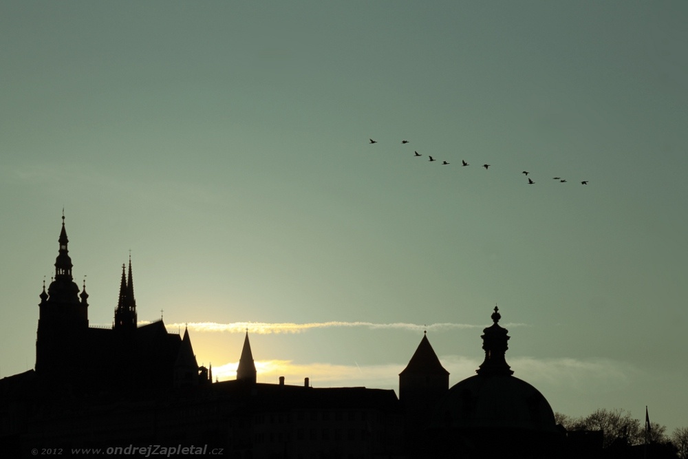 A Flock (On the photo:  ptáci, hrad, slunce, silueta, večer)