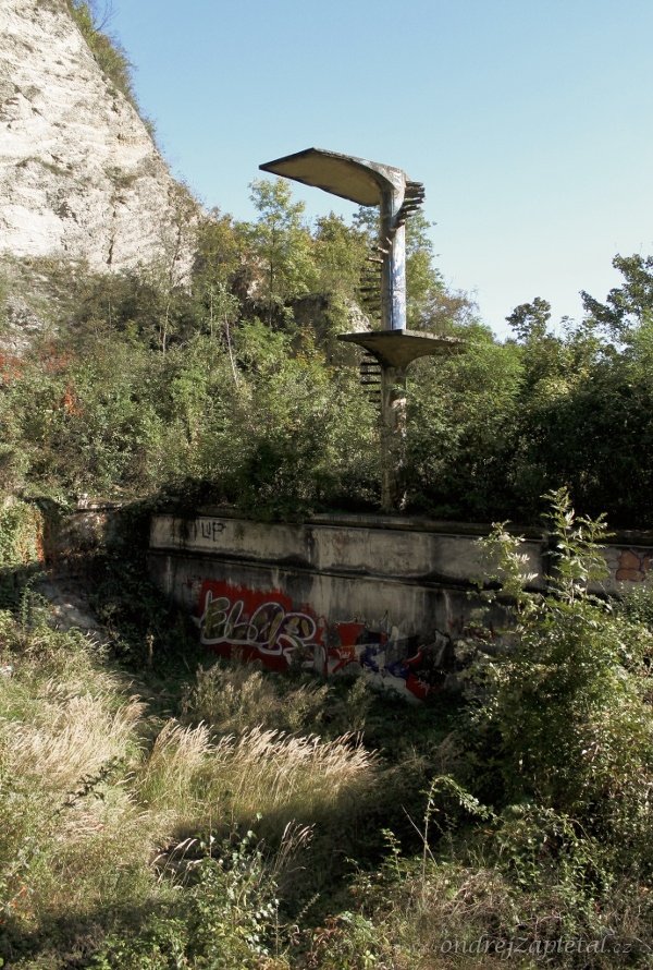 Abandoned Pool (On the photo:  (Urbex photography) stromy, beton, ruiny)