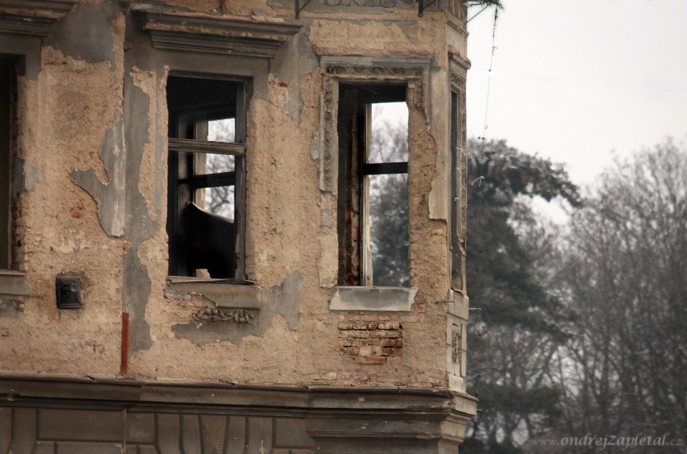 Not so Abandoned (On the photo:  (Urbex photography) ruiny)