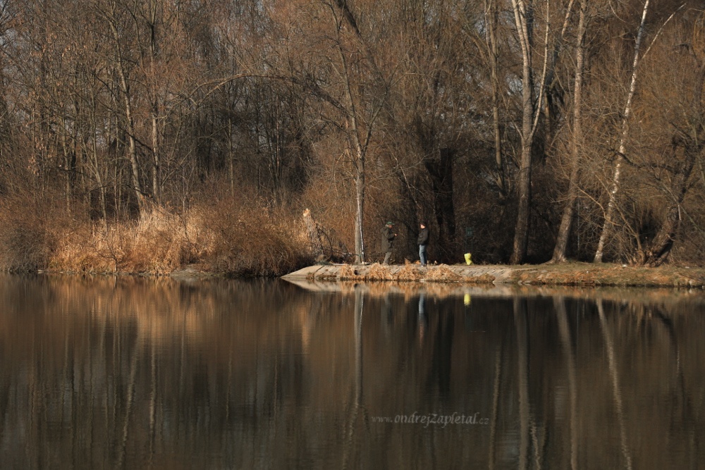 Are There Even any Fish? (On the photo:  (Urban photography) voda, stromy, lidé, praha, zima)
