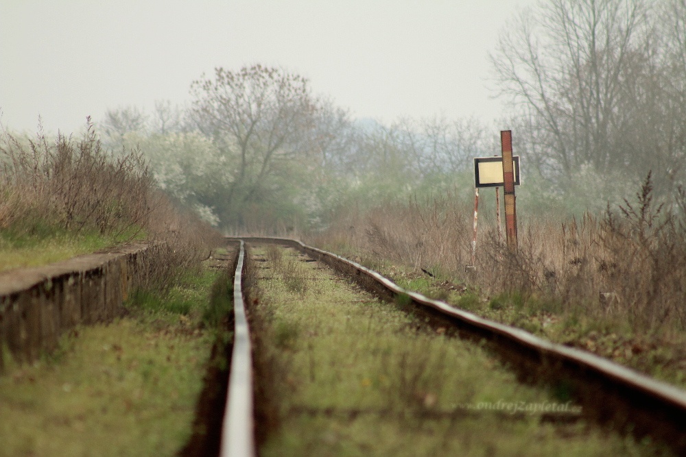 Breaking Parallels (On the photo:  vlak, cesta, stromy, venkov)