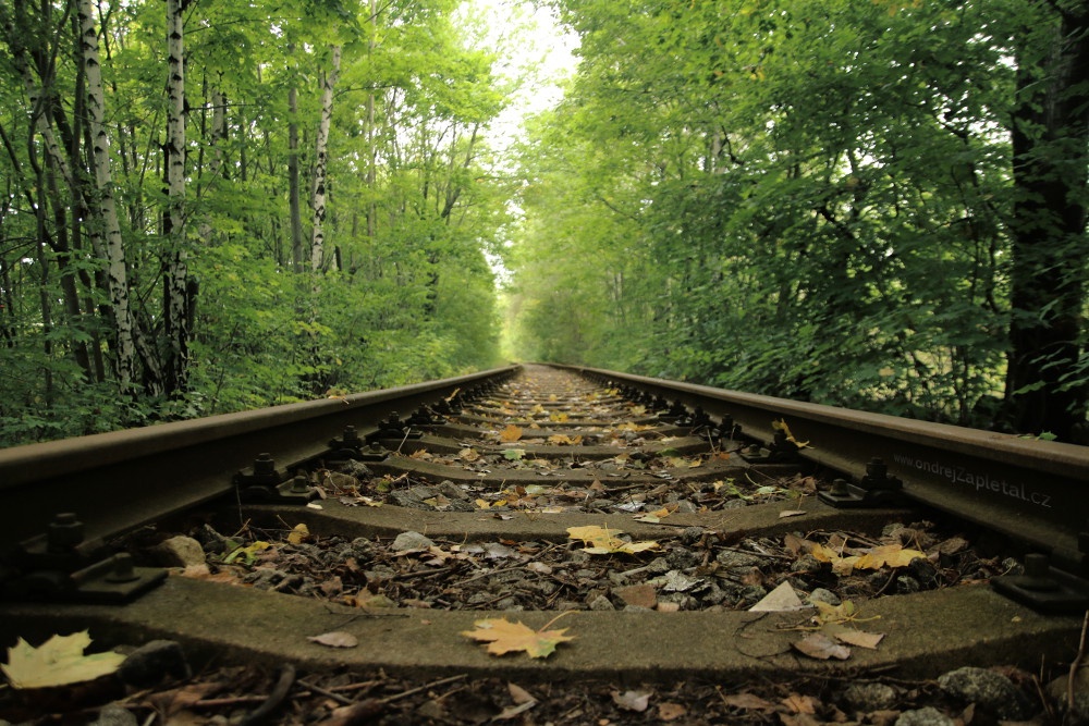 Fotografie Autumn on Tracks, na fotce: path, trees, autumn, train, autor: Ondřej Zapletal