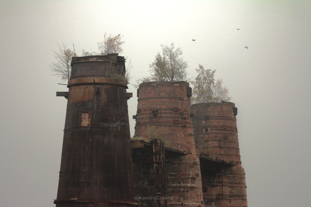 Zplodiny stromů (Na fotografii:  cihly, industrial, stromy, mlha, podzim)
