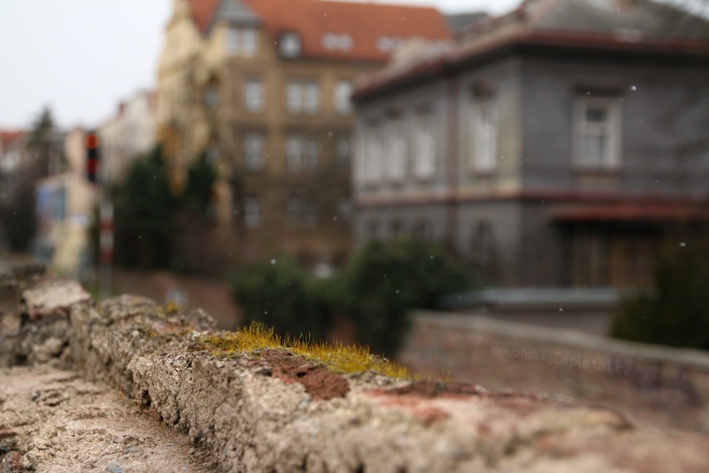 First Snowflakes (On the photo:  (Urban photography) sníh, zima, praha)