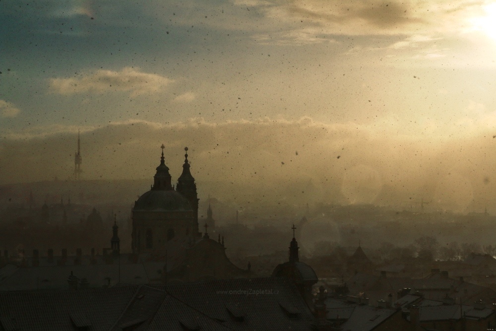 Last Snowflakes (On the photo:  (Urban photography) praha, sníh, ráno, zima, mraky, věž)