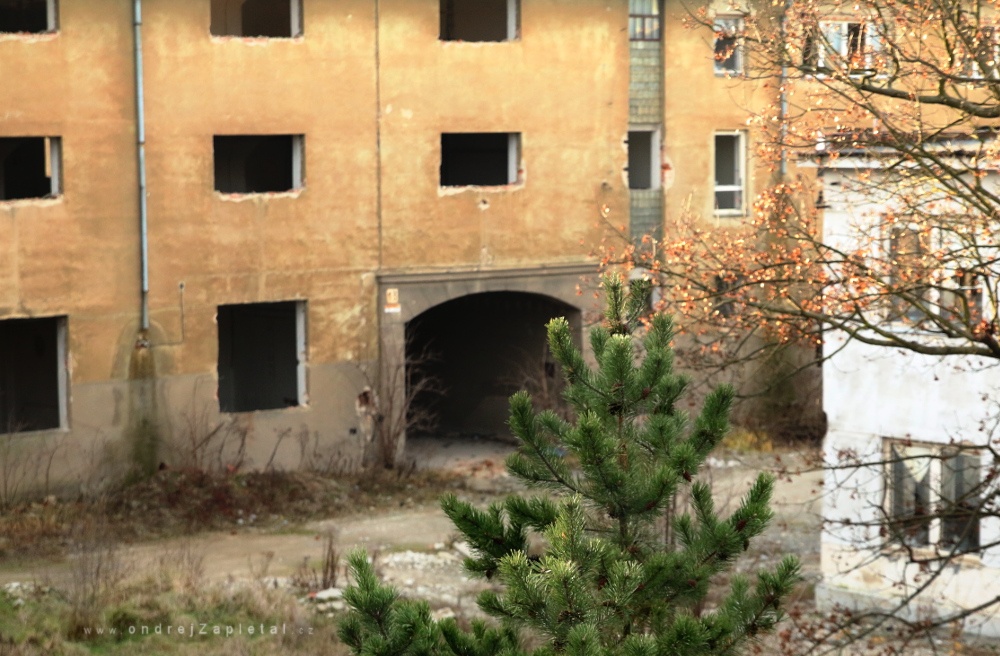 Fotografie Passage to the Yard 13, na fotce: trees, broken glass, ruins, autor: Ondřej Zapletal