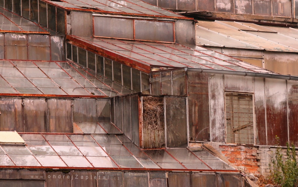 Window to the Wild (On the photo:  (Urbex photography) rozbité sklo, ruiny, cihly)