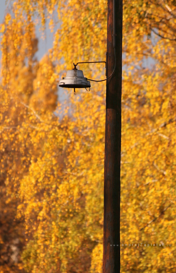 V listopadovém dešti (Na fotografii:  (Průmyslová fotografie) podzim, elektřina, stromy)