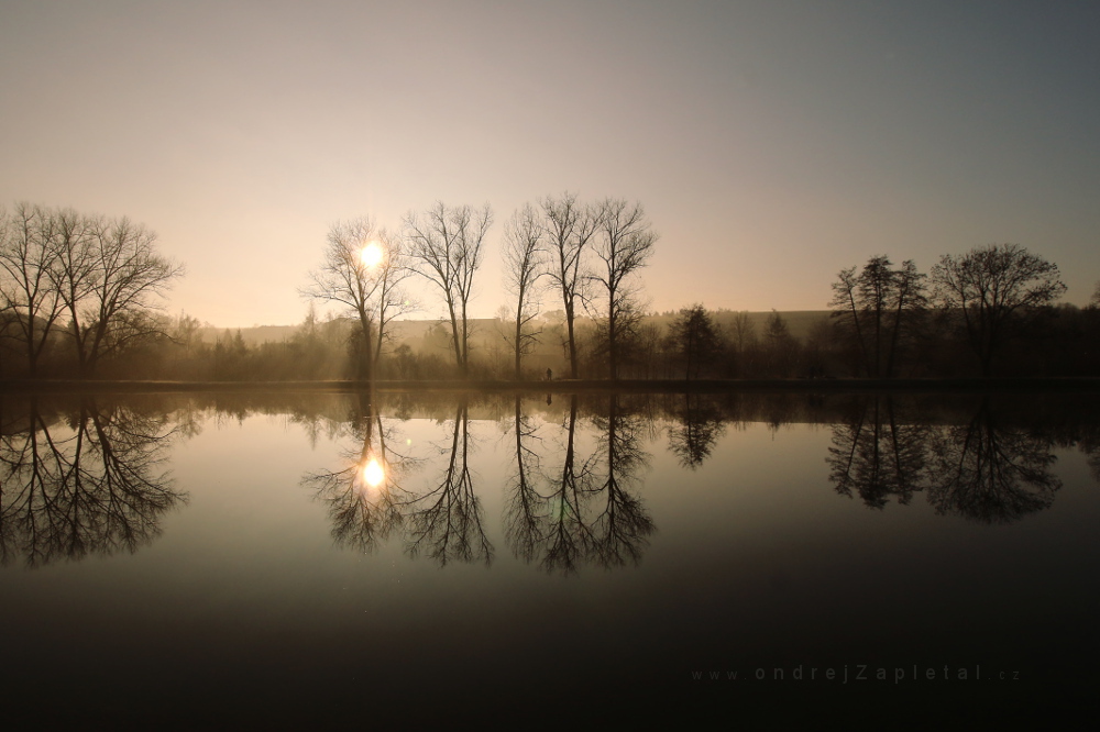 Fishing in the Morning (On the photo:  (Street photography) mlha, voda, lidé, stromy, ráno, podzim, slunce)