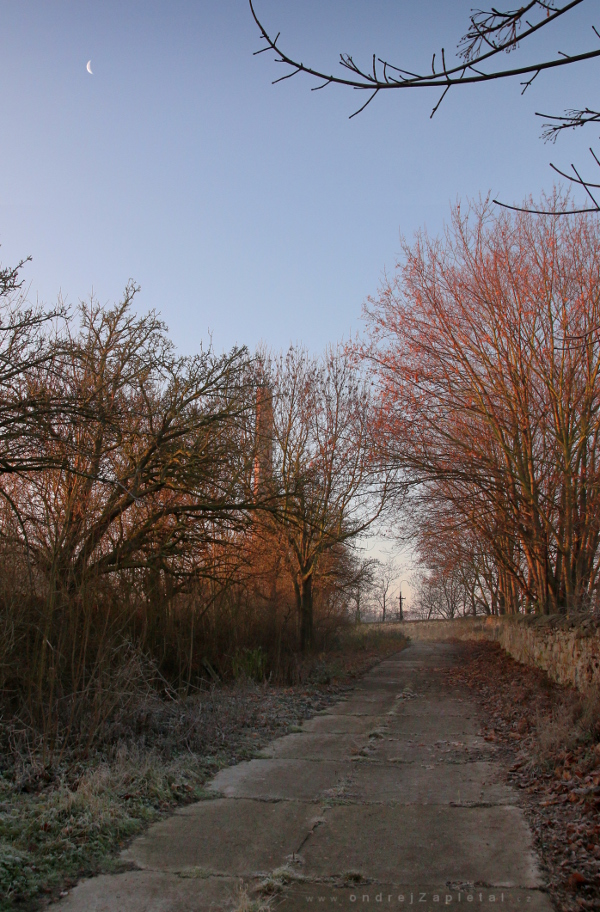 Moon over Sugar Refinery (On the photo:  cesta, stromy, měsíc, podzim, ráno)