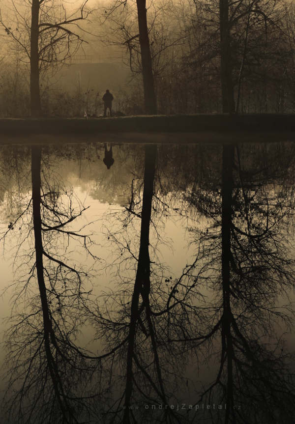 Fishing between Roots (On the photo:  voda, stromy, ráno, podzim, venkov)