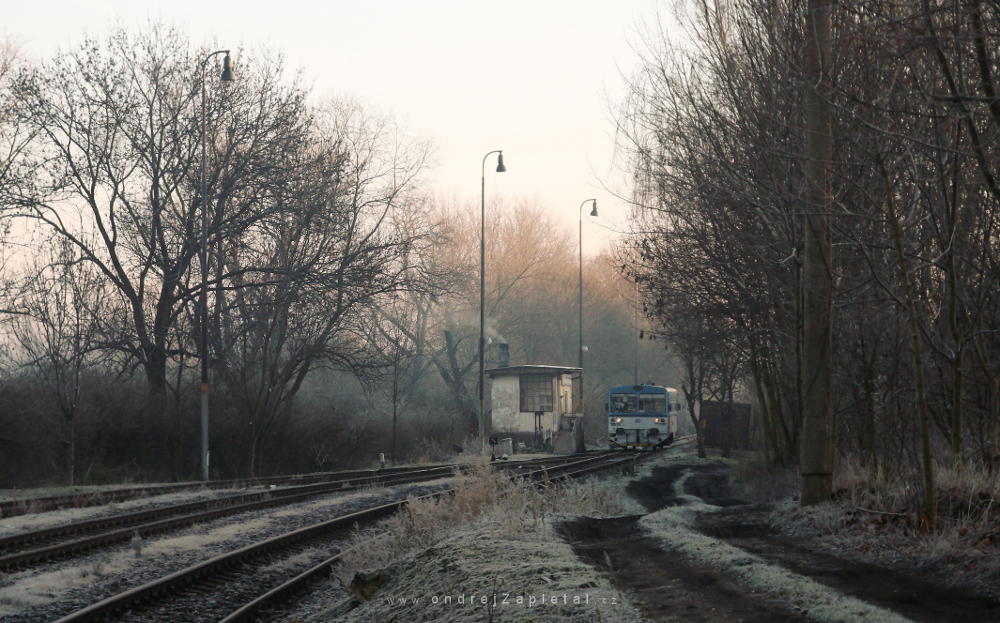 The Only Train (On the photo:  (Rural photography) vlak, ráno, podzim, stromy, cesta)