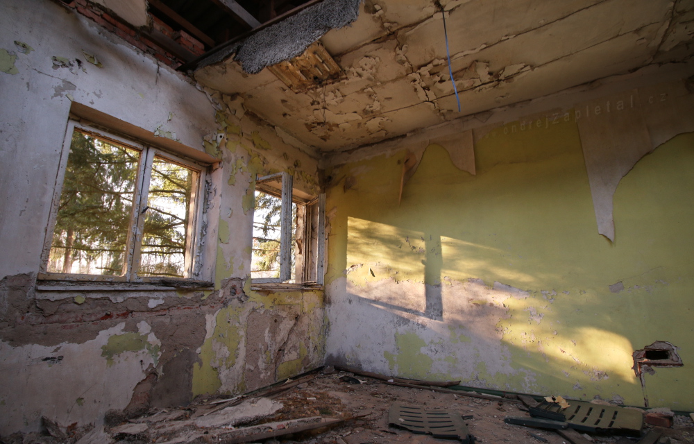 Lesní výhled (Na fotografii:  stromy, interiér, ráno)