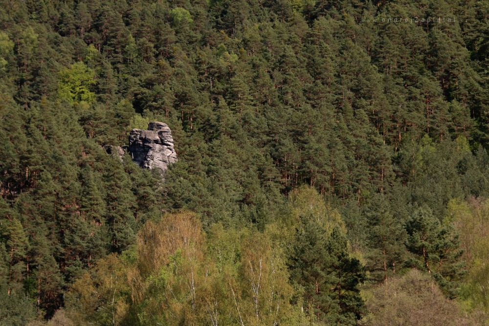 Sandstone (On the photo:  (Nature photography) příroda, stromy, geologie, skála)