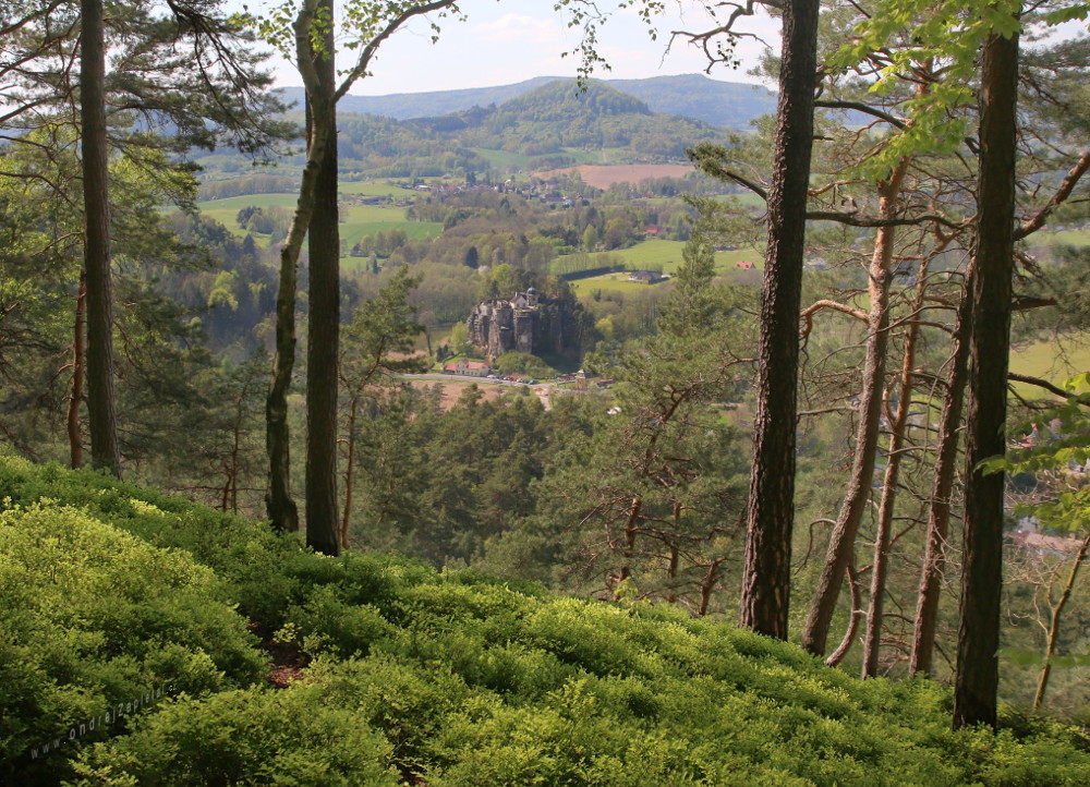 Bürgstein (On the photo:  stromy, hrad, jaro, hory)