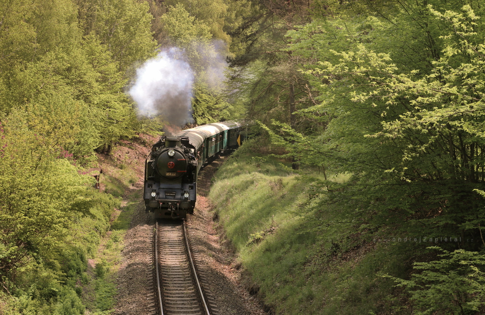 Steam Engine (On the photo:  cesta, vlak, stromy, jaro)