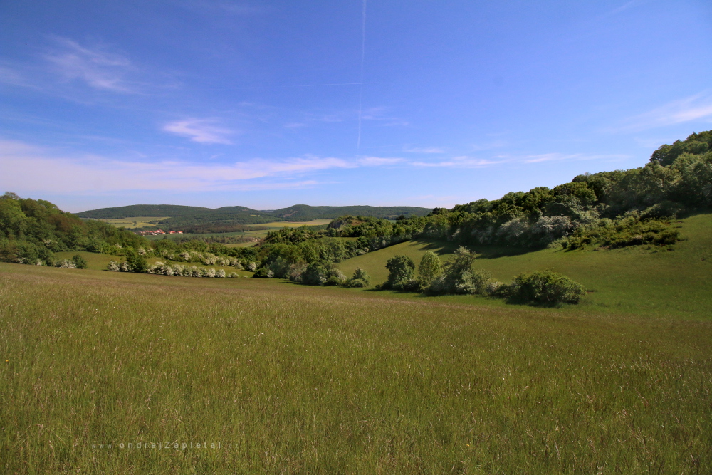 Nature Reserve Koda (On the photo:  (Nature photography) příroda, jaro)