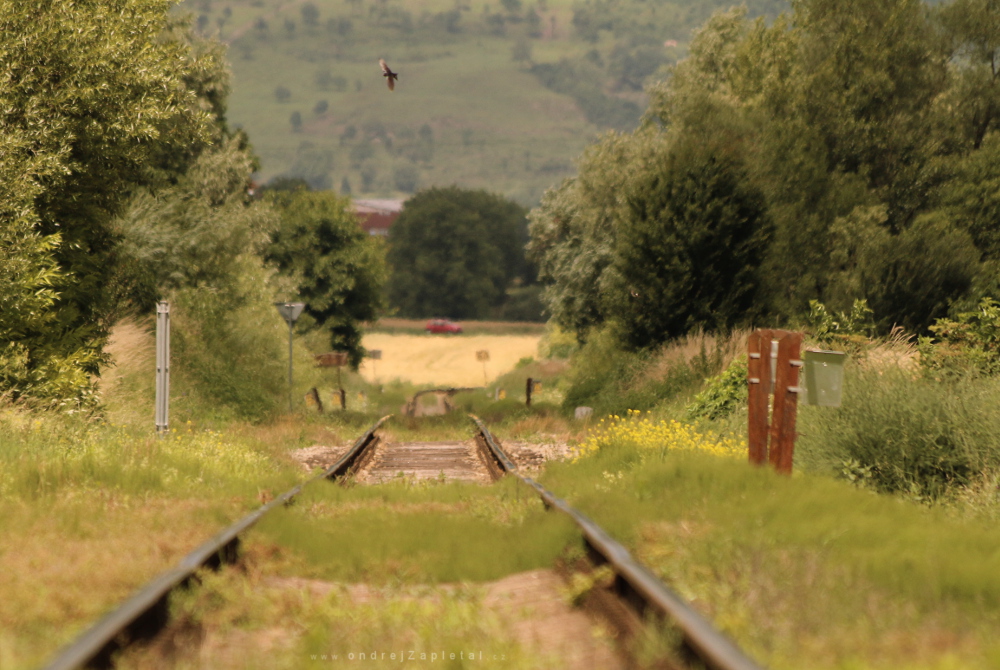 Flew over the Tracks (On the photo:  cesta, vlak, stromy, venkov)