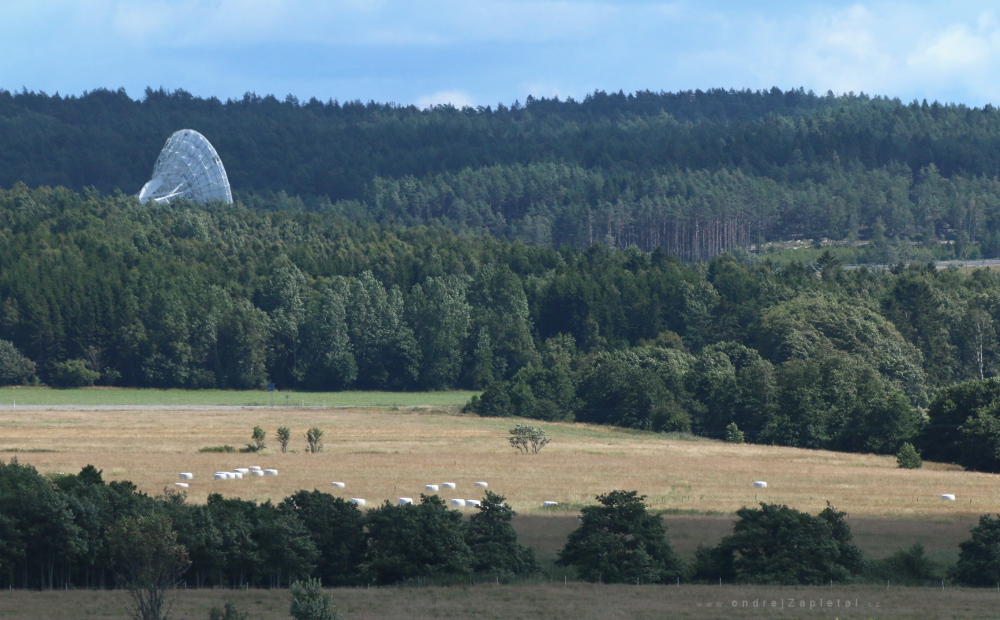 Catching the Sounds of Forest (On the photo:  les, elektřina, pole)