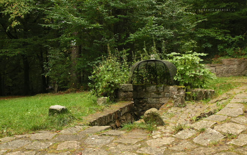 Old Spring (On the photo:  voda, stromy, les, venkov)