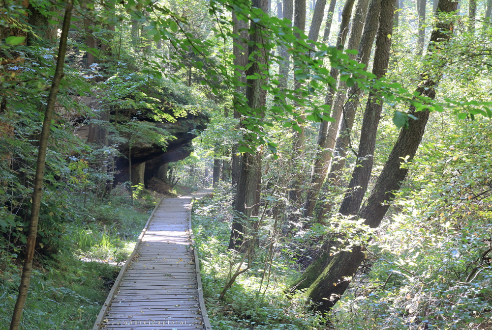 Path through Peklo (On the photo:  (Nature photography) les, stromy, cesta, skála, příroda)