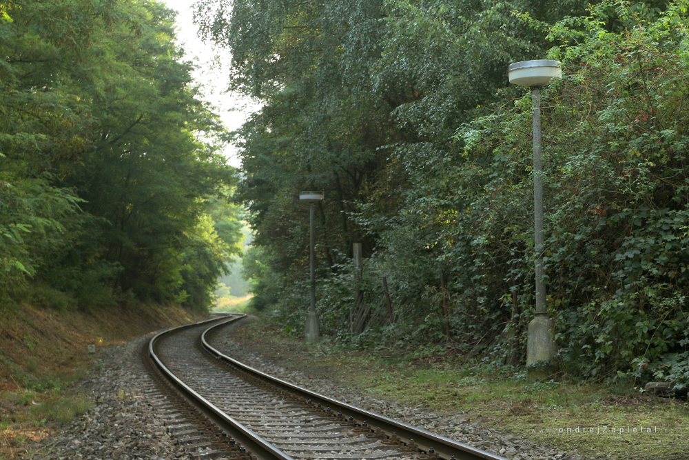 Turning (On the photo:  (Rural photography) cesta, vlak, elektřina, venkov, stromy)