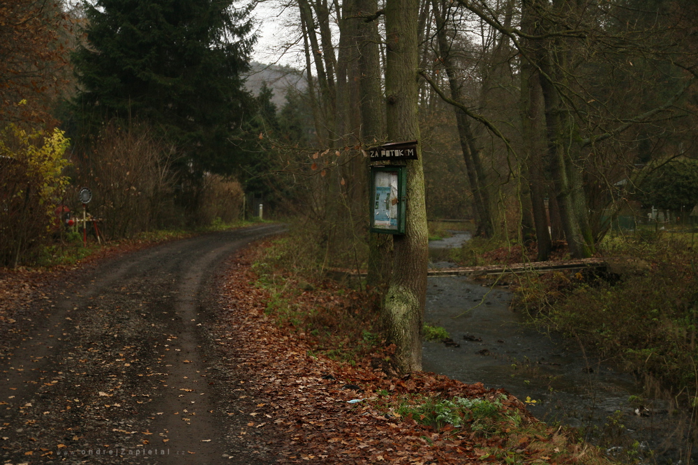 Za potokem (On the photo:  stromy, nápisy, cesta, podzim)