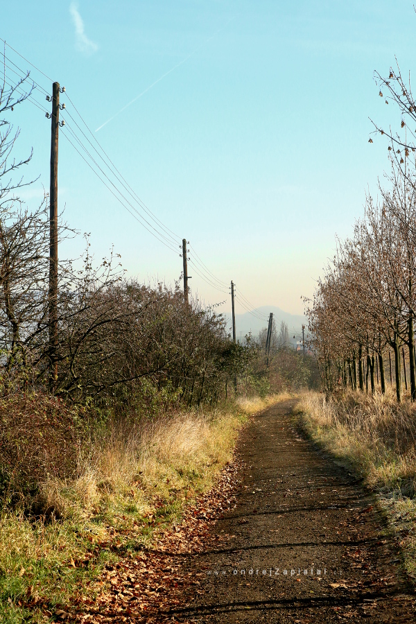 Středohořím (Na fotografii:  cesta, podzim, elektřina)