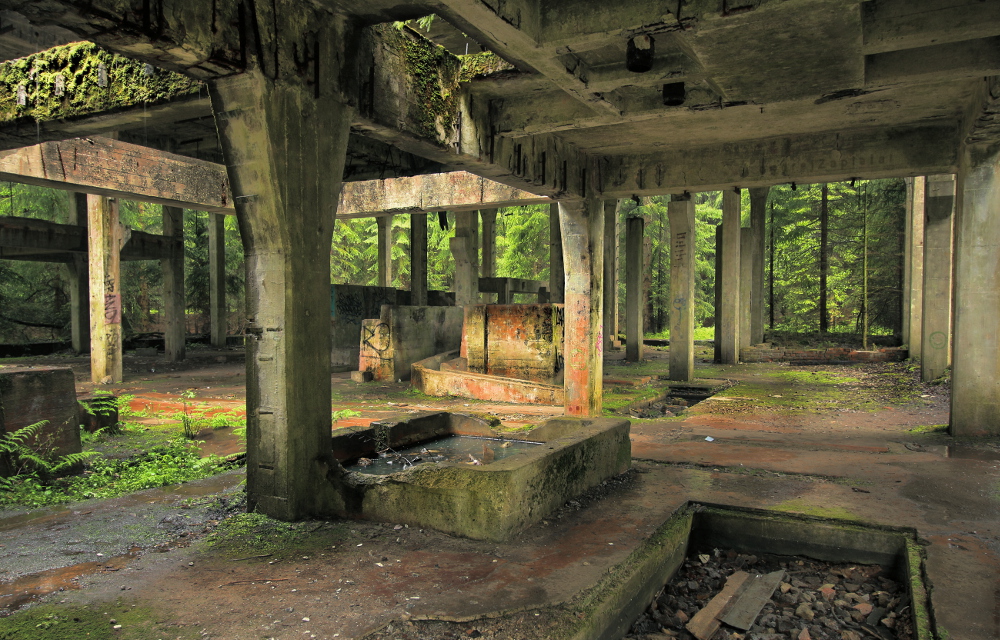 Fotografie Forest factory, na fotce: industrial, ruins, concrete, trees, interier, moss, autor: Ondřej Zapletal
