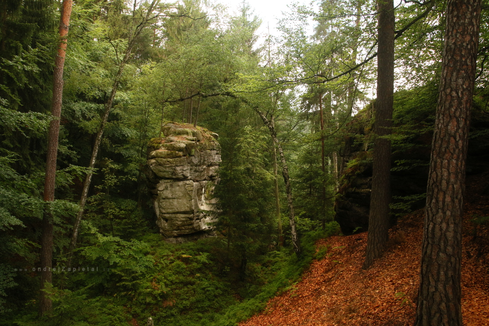 Lonely Rock (On the photo:  skála, les, stromy)