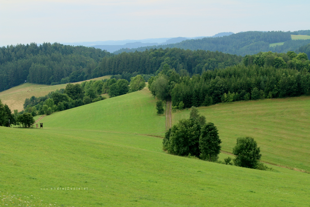 Kopcovitou krajinou (Na fotografii:  hory, stromy, pole, cesta)
