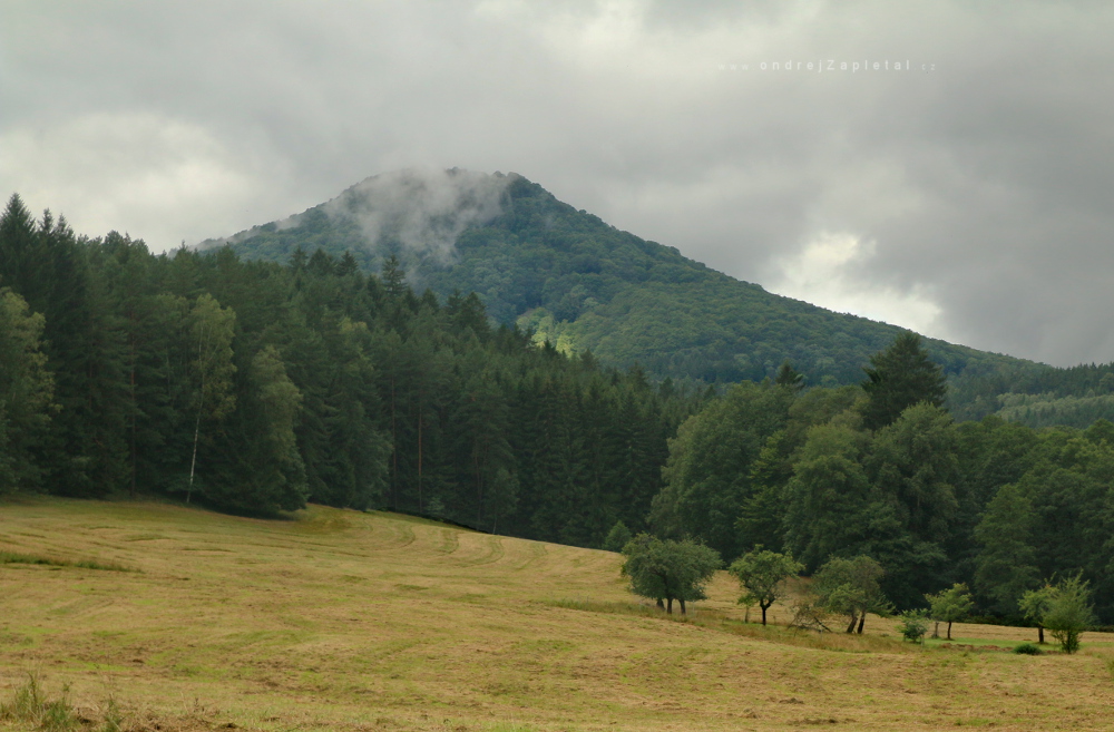 Fotografie Mist from the Hill, na fotce: mountains, summer, trees, meadow, autor: Ondřej Zapletal