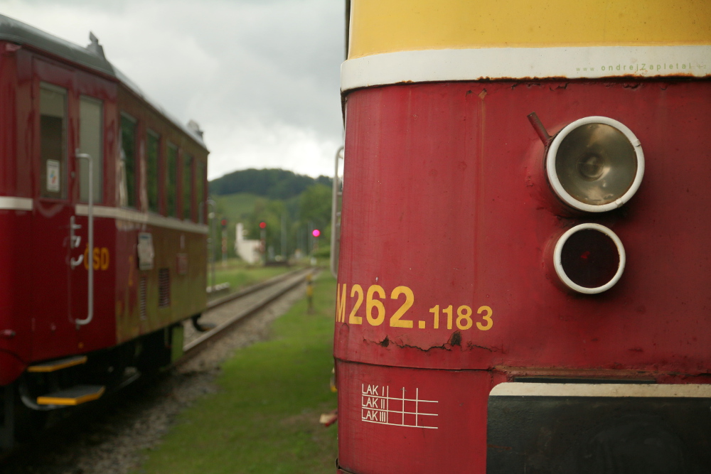 Oko (Na fotografii:  vlak)