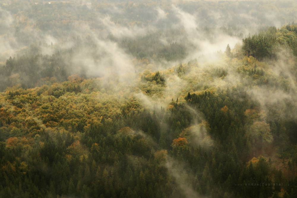 Fotografie Between Rains, na fotce: nature, autumn, mist, autor: Ondřej Zapletal