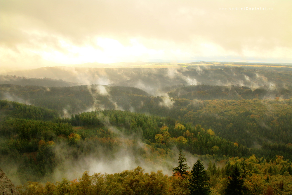Fotografie Mist over Woody Hills, na fotce: forest, mist, mountains, autumn, nature, autor: Ondřej Zapletal