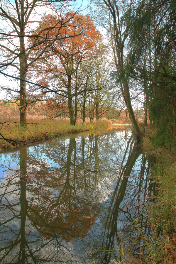 Fall Silence (On the photo:  (Nature photography) příroda, stromy, podzim, voda)