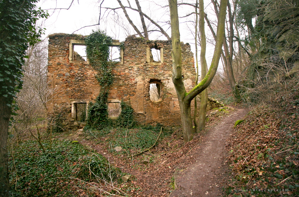 Old Mill (On the photo:  (Urbex photography) ruiny, cihly, cesta, podzim)