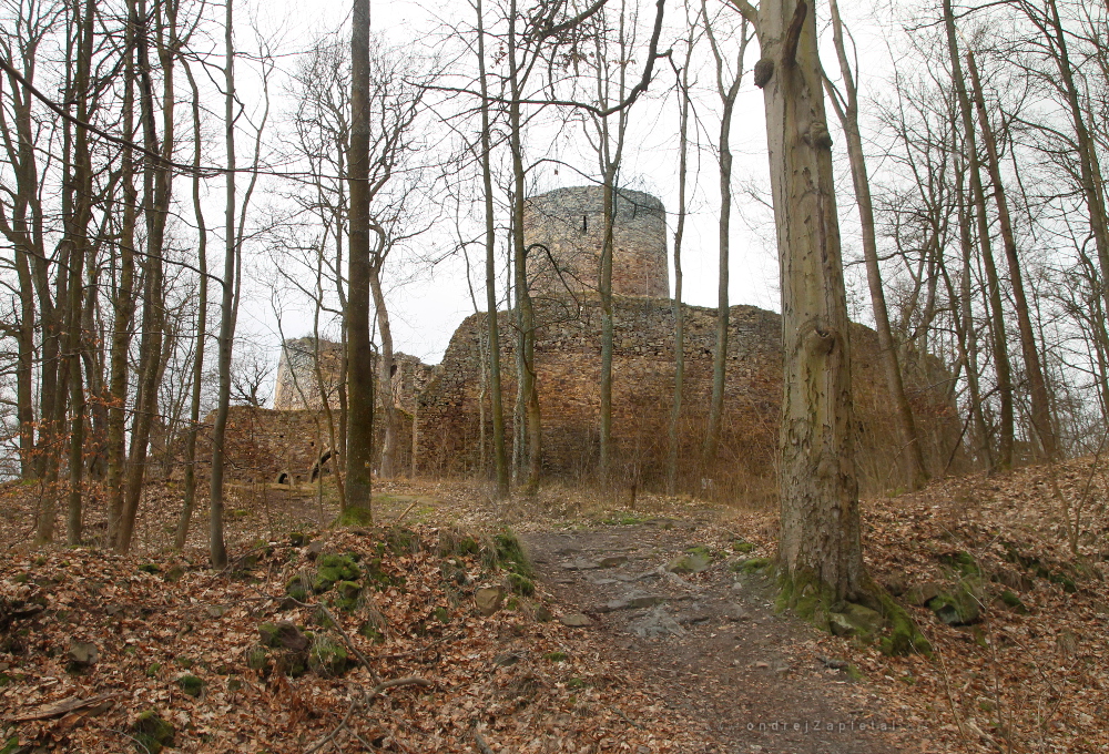 Hrad Valdek (Na fotografii:  hrad, podzim, stromy, cesta)