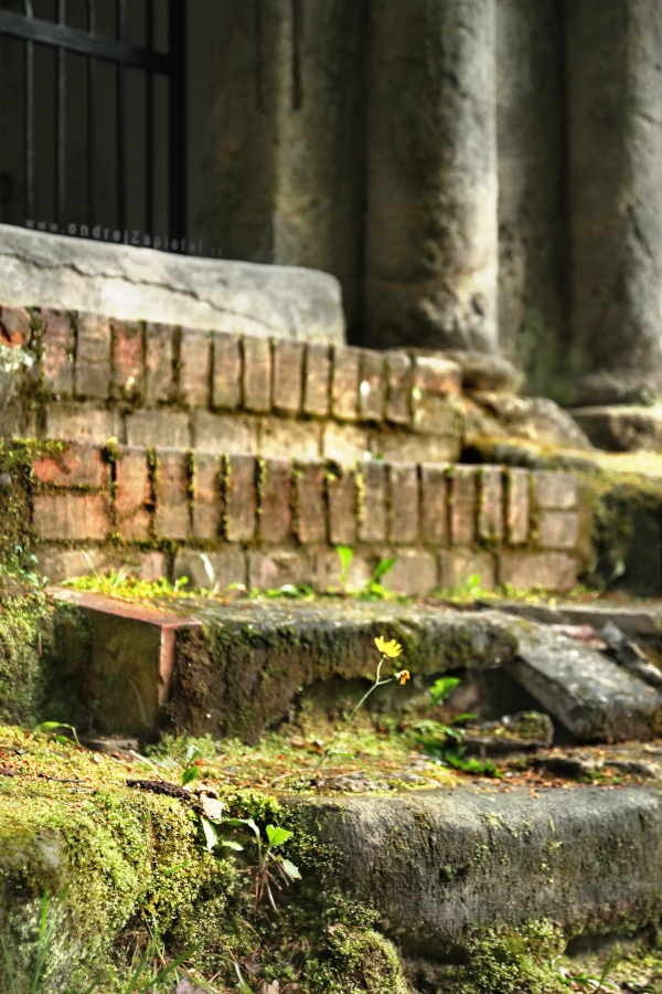 Stairs to a Chapel (On the photo:  kostel, les)