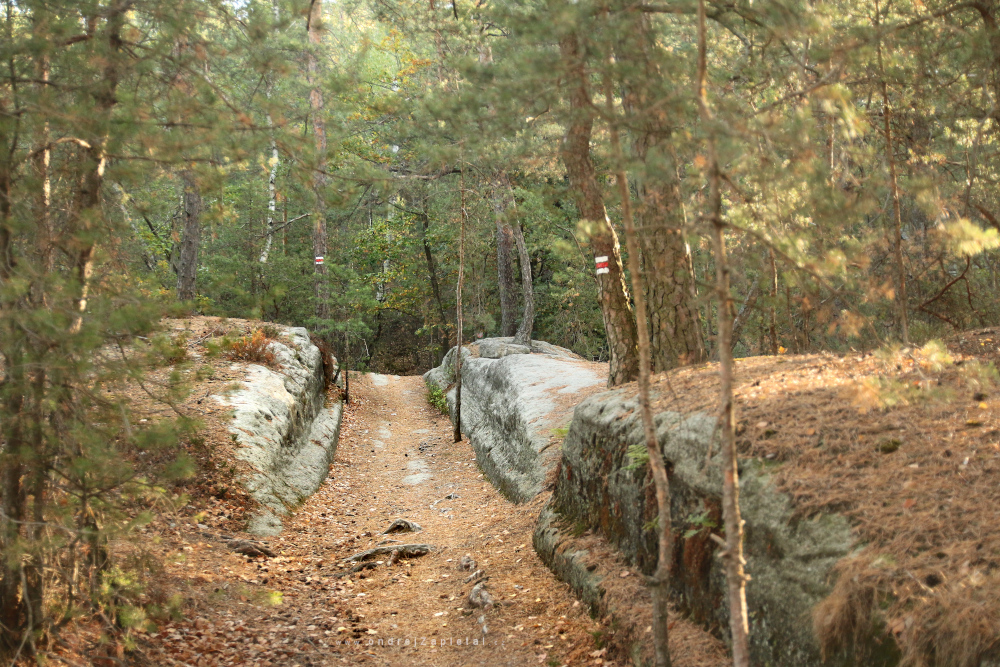 Stone Path (On the photo:  (Nature photography) cesta, les, podzim)