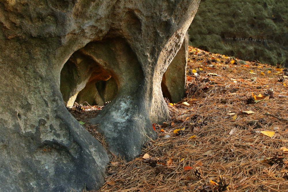 Cave (On the photo:  (Nature photography) skála, příroda, geologie)